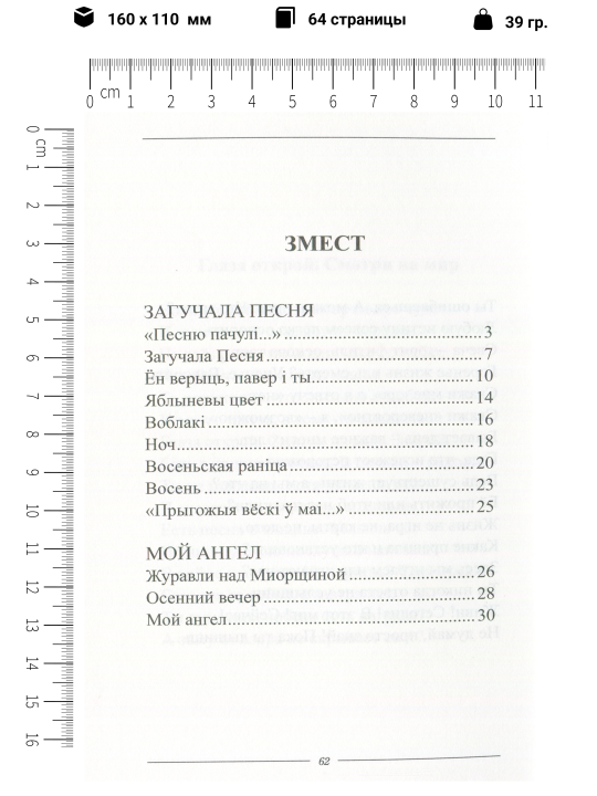 Книга Iдолта серыя Маладая паэзiя Беларусi