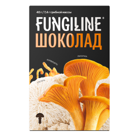 Грибной шоколад • Полезные сладости от Fungiline (Фунгилайн)