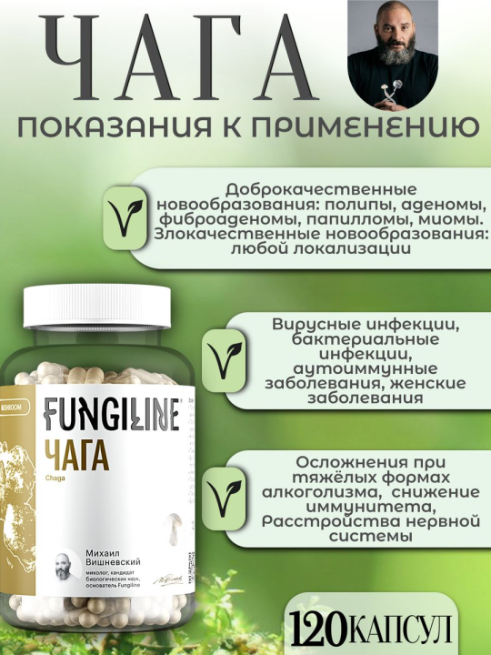 Чага Fungiline 120 капсул