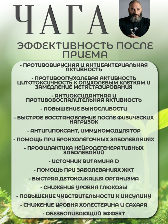 Чага Fungiline 120 капсул