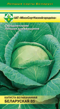 Семена Капусты белокочанная Белорусская 85 2 пакетика