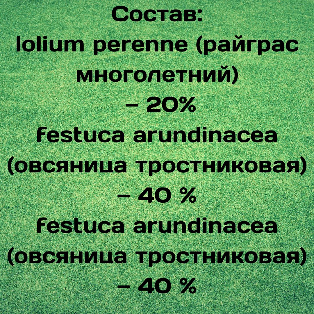 Трава газонная Чемпион 1кг. Семена