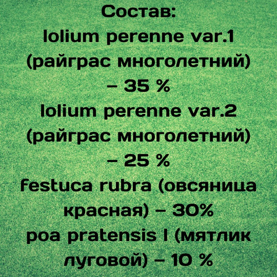 Трава газонная Веселый луг 1кг. Семена