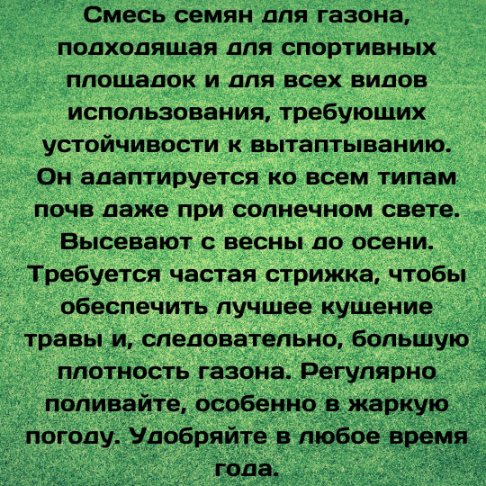 Трава газонная Олимпийский газон 1кг. Семена