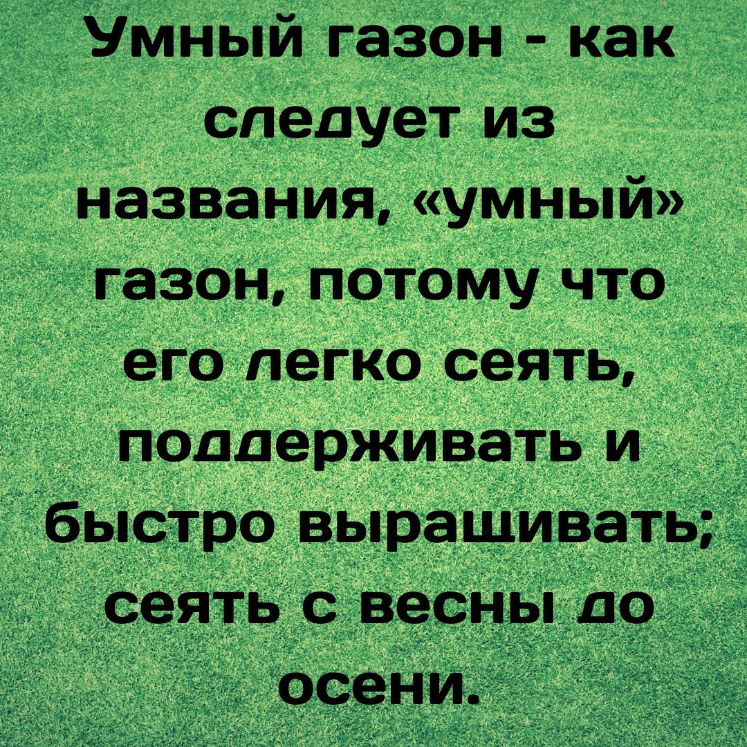 Трава газонная Смарт (Умный газон) 1кг. Семена