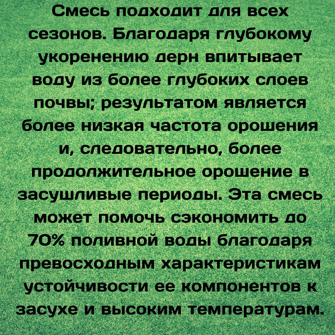 Трава газонная Экономия воды 1кг. Семена