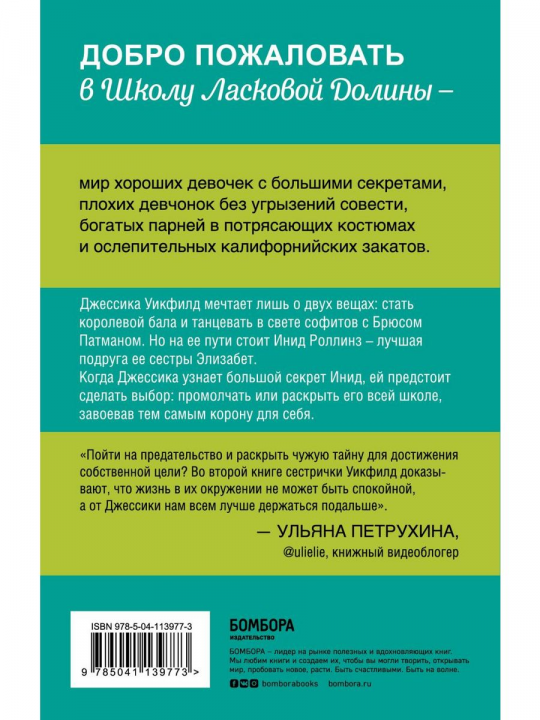 Школа в Ласковой Долине. Секреты (книга №2)