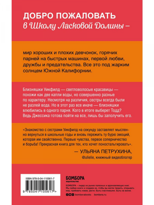 Школа в Ласковой Долине. Парень моей сестры (книга №1)