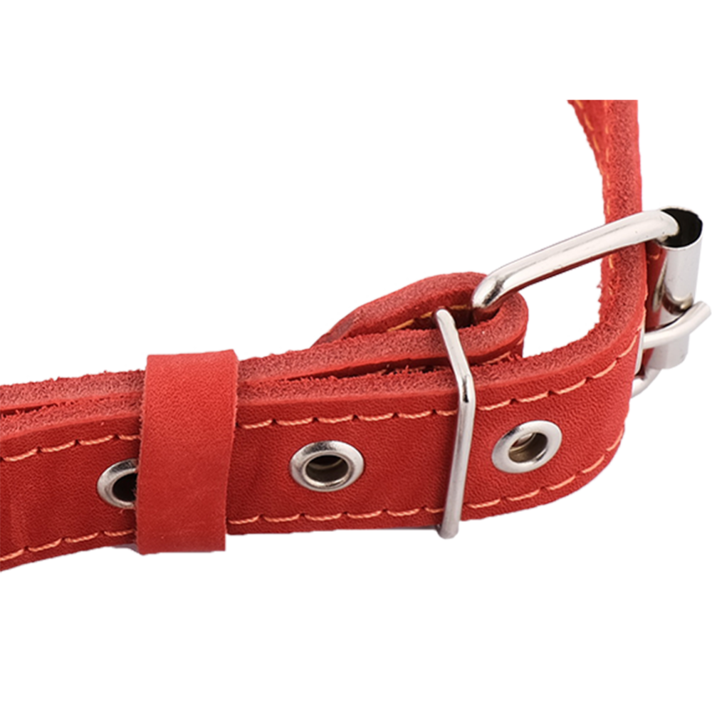 Ошейник «Хампо» кожаный, красный, 2.5х43-55 см