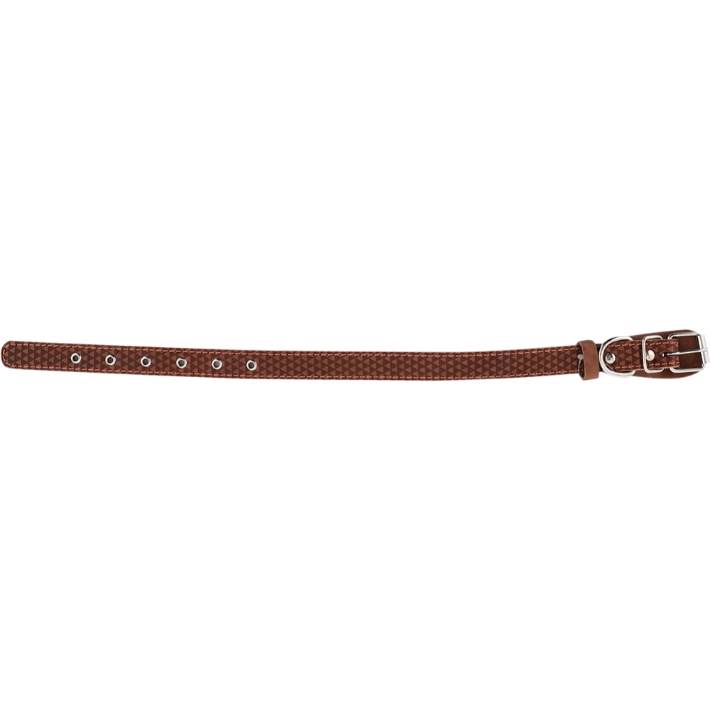 Ошейник «Хампо» кожаный, 2х32-45 см, светло-коричневый