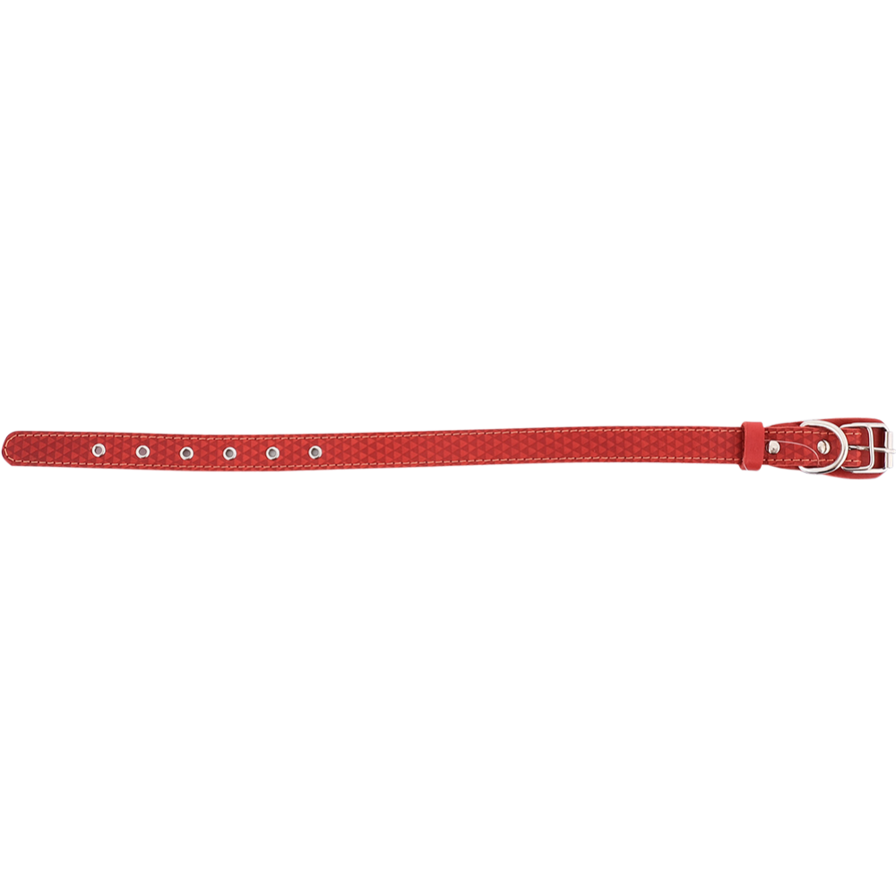 Ошейник «Хампо» кожаный, 2х32-45 см, красный
