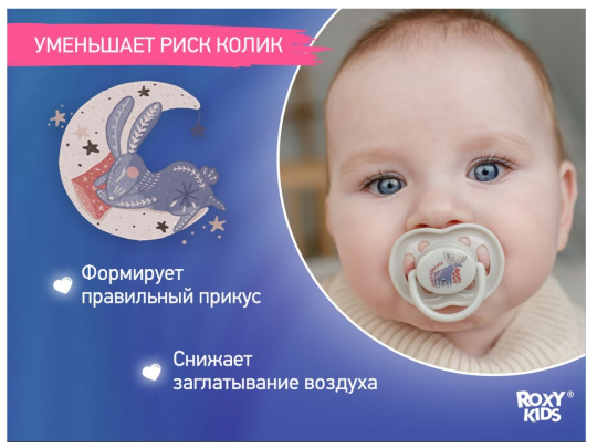 Соска-пустышка Roxy Kids SCANDI ортодонтическая 6-18 мес. с футляром 2шт