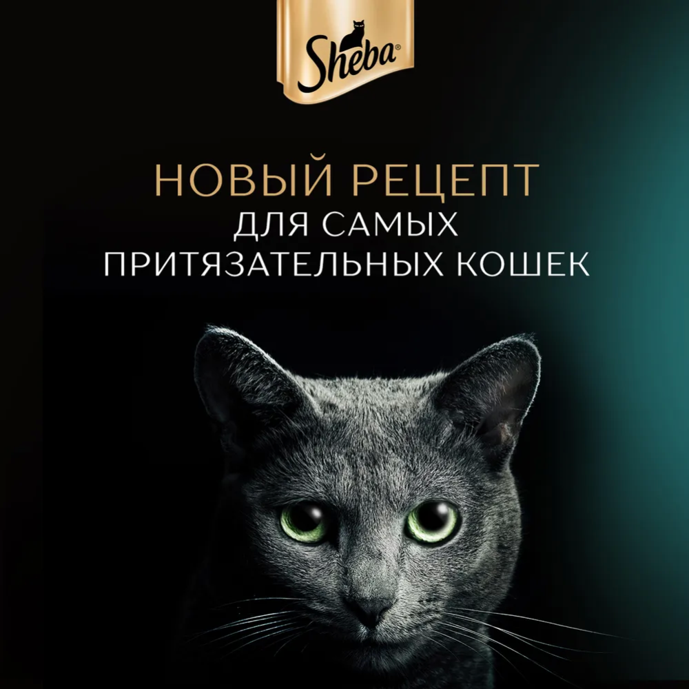 Уп. Корм для кошек «Sheba Pleasure» телятина и язык в соусе, 28х75 г