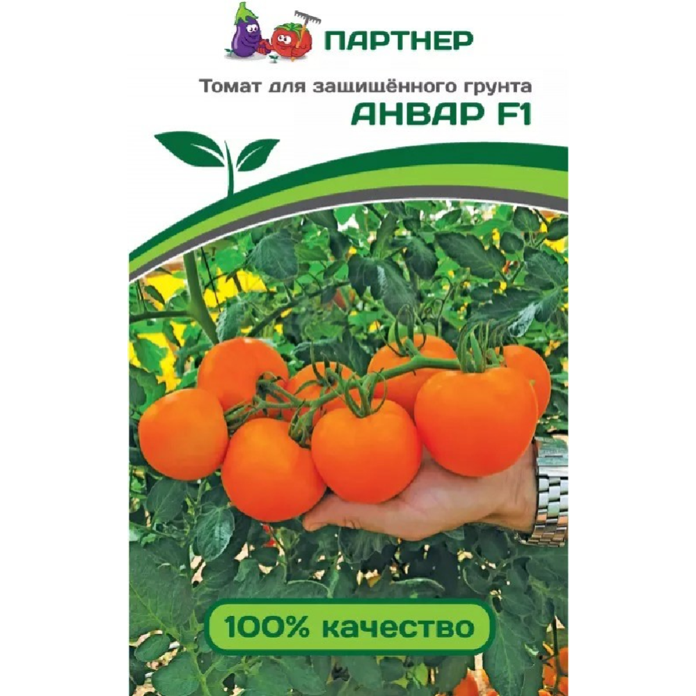 Семена томатов «Зеленая Русь» Анвар F1, 3 пакетика