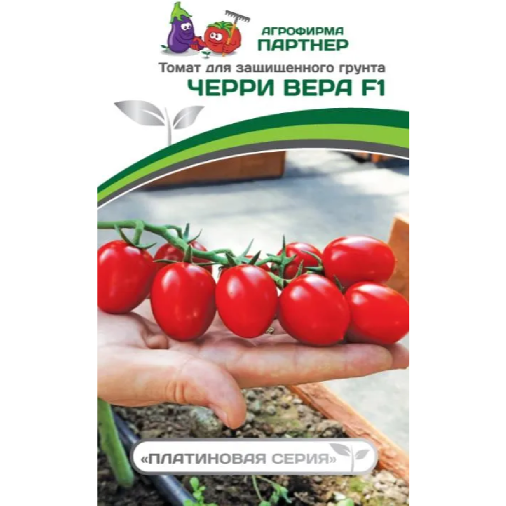 Семена томатов «Зеленая Русь» Черри Вера F1, 3 пакетика