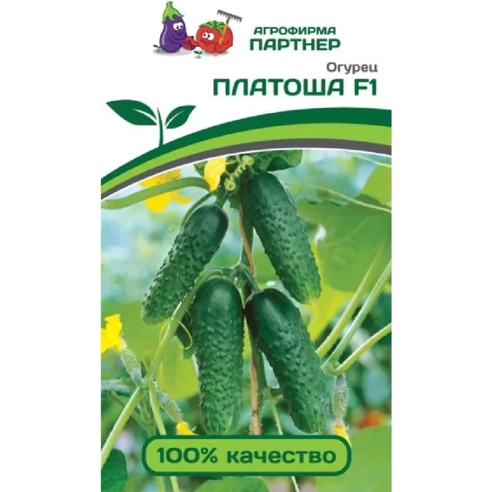 Семена огурцов «Зеленая Русь» Платоша F1, 3 пакетика