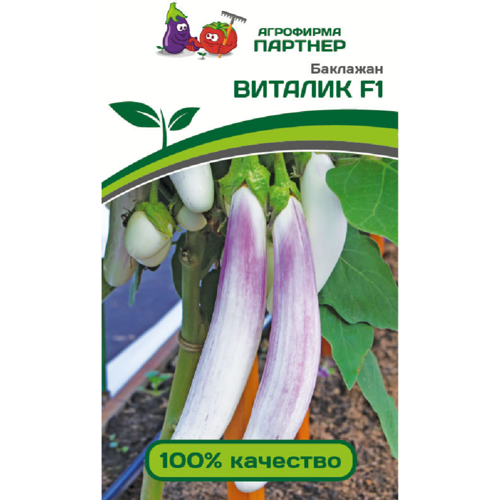 Семена баклажанов «Зеленая Русь» Виталик F1, 3 пакетика