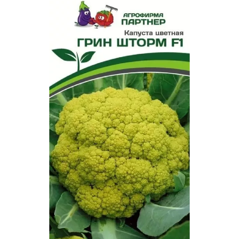 Семена капусты «Зеленая Русь» Грин Шторм F1, 3 пакетика