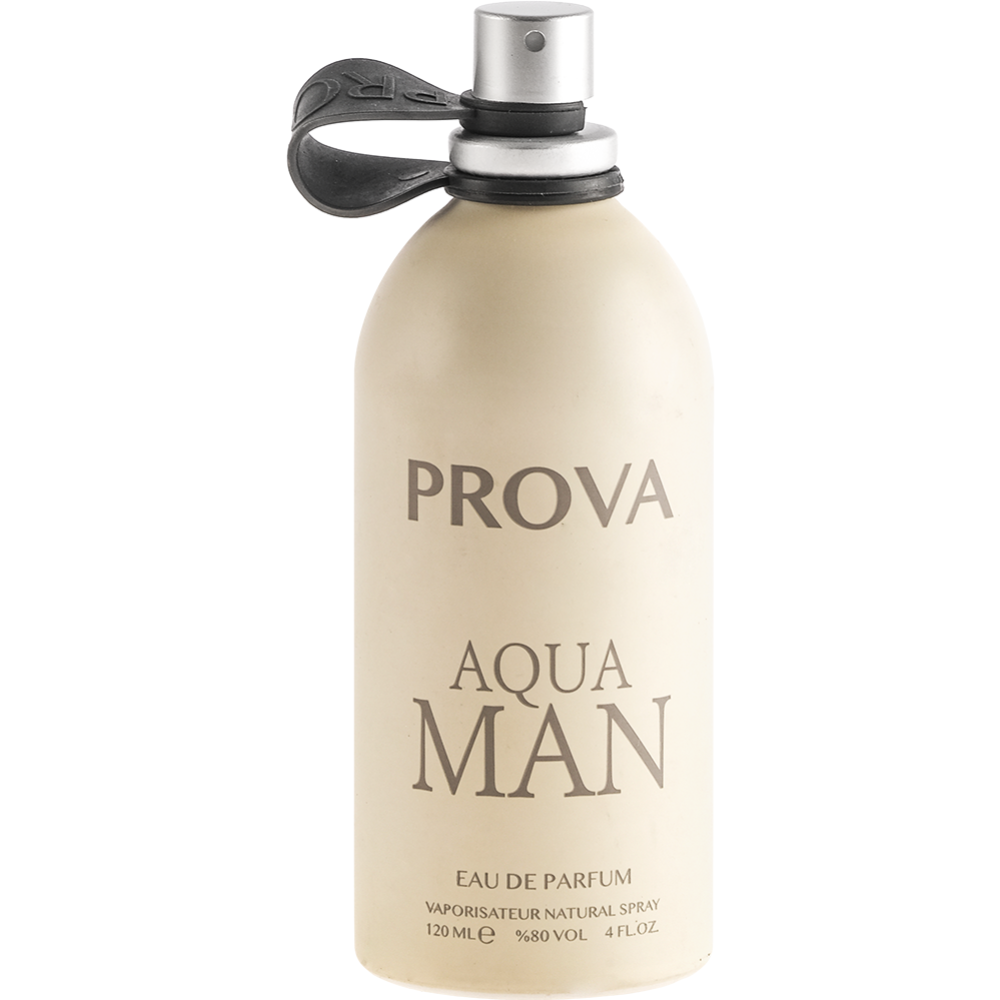 Парфюмерная вода «Prova» Aqua, для мужчин, 120 мл