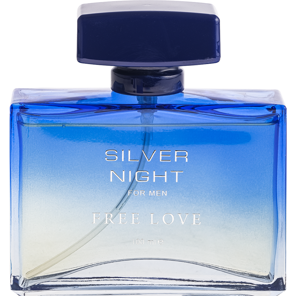 Парфюмерная вода для мужчин «Free Love» Silver Night, 100 мл