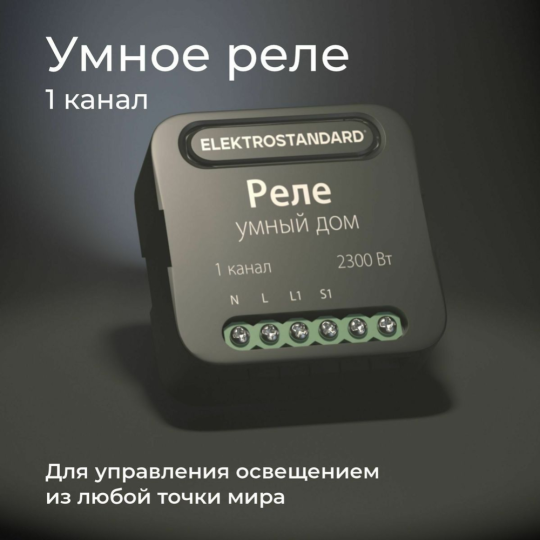 Реле «Elektrostandard» Умный дом, 76006/00, a059324, черный