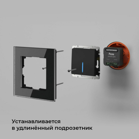 Реле «Elektrostandard» Умный дом, 76006/00, a059324, черный