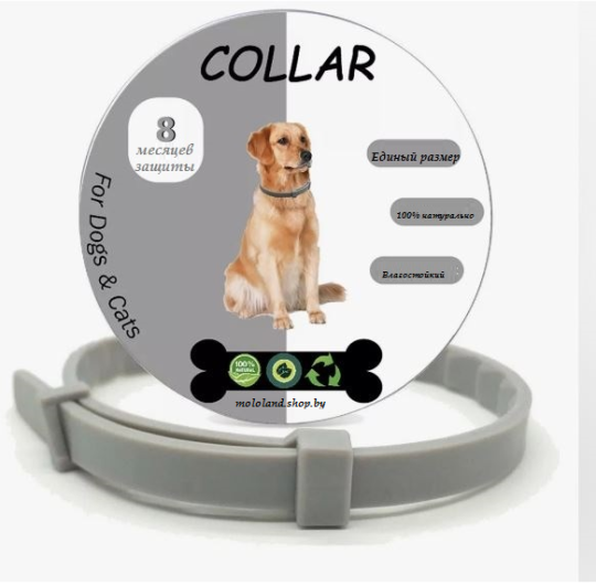 Ошейник от блох и клещей для собак и котов