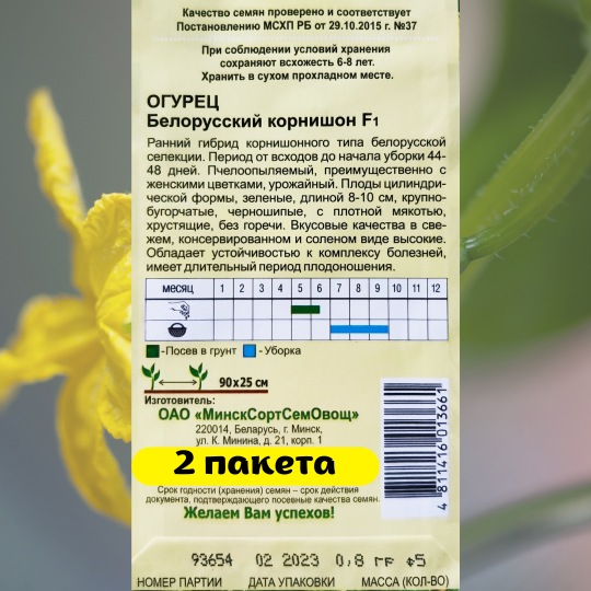 Семена огурцов Белорусский корнишон F1 2 пакета