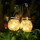 Светодиодный садовый светильник-фонарь с солнечной батареей  "Банка с росой" CL-S25WW