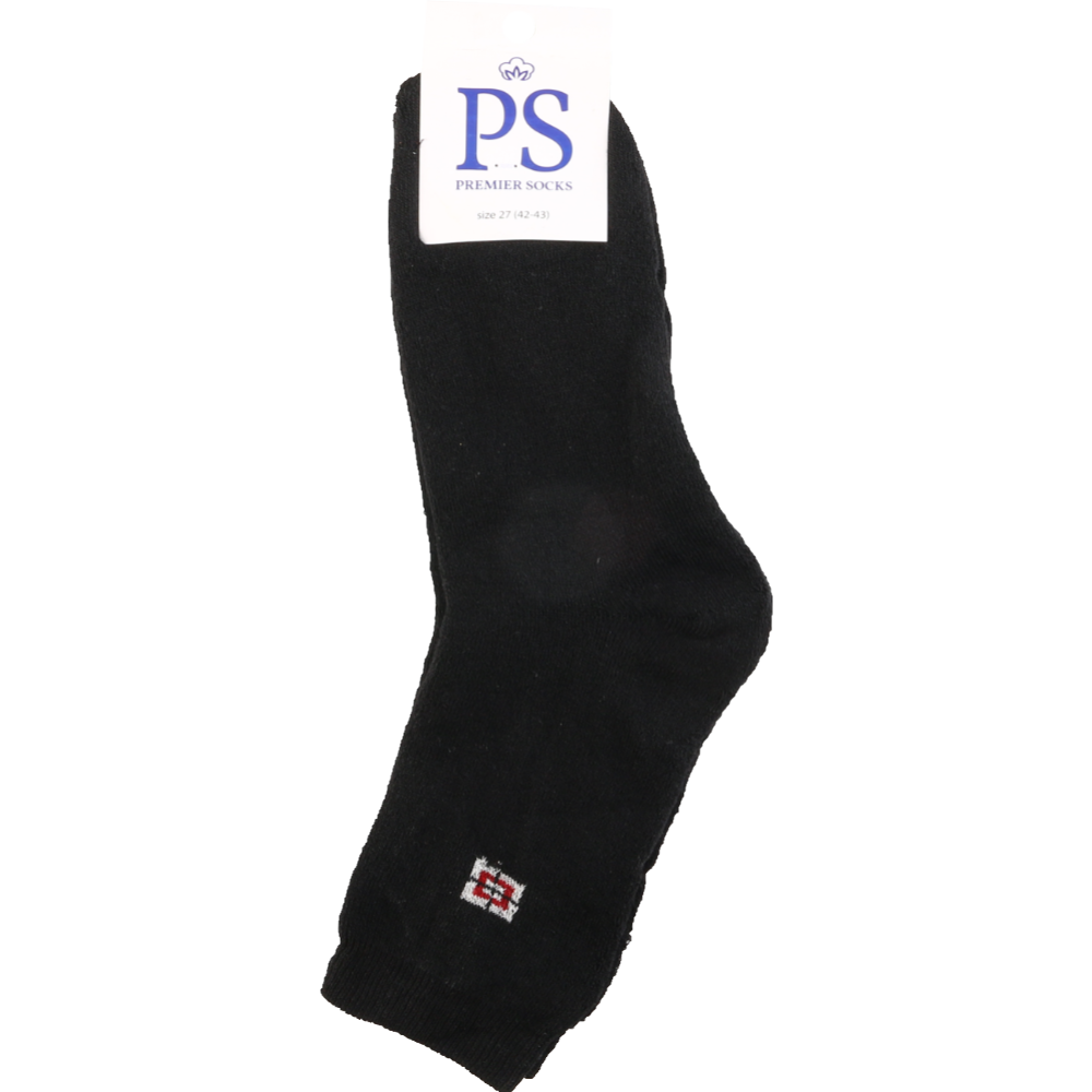 Носки мужские «Premier Socks» SM-PL-3-Maxr, черный, размер 27