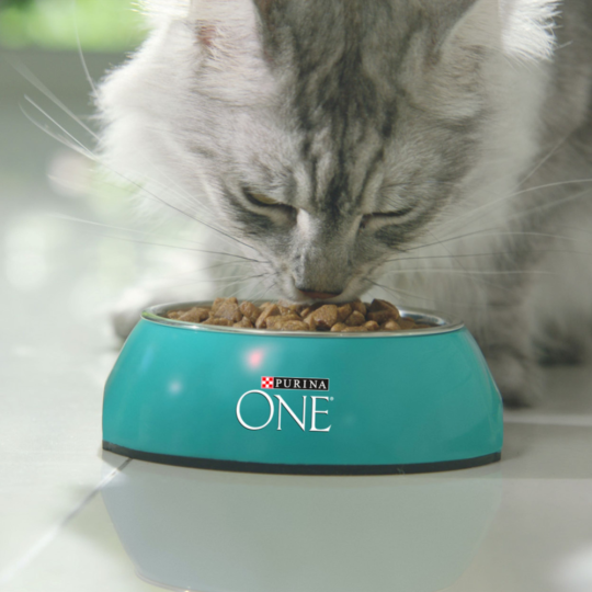 Корм для кошек «Purina One» лосось и пшеница, для стерилизованных, 750 г