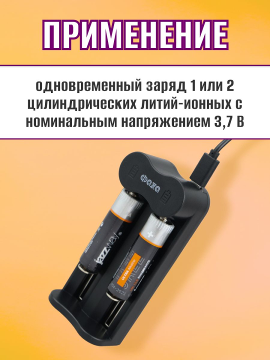 Зарядное устройство З/у ФАZА L-71 USB  (2 x Li-Ion) .5032385