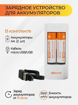 Зарядное устройство 3022Н (300 mA 2 слота АА/ААА 1 кан.+2xAA2500 USB) TDM SQ1702-0103