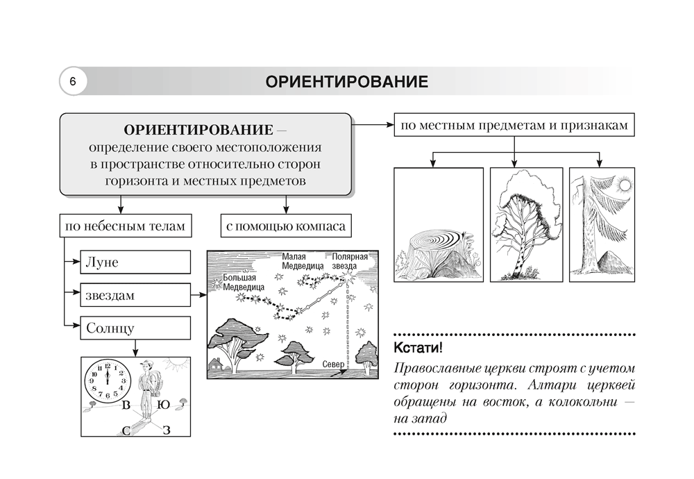 География. Физическая география. 6 класс. Опорные конспекты, схемы и таблицы. 2024