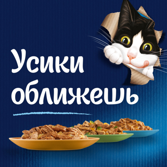 Корм для котят «Felix» Аппетитные кусочки, курица в желе, 75 г