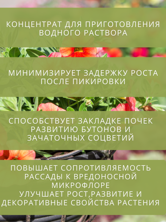 Органическое удобрение Спелёныш рассада петуния, 250 мл