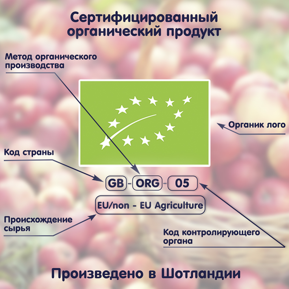 Пюре детское «Fleur Alpine» яблоко и шиповник, с 5 месяцев, 90 г