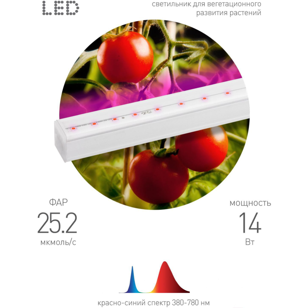 Лампа для растений «ЭРА» FITO-14W-Т5-N, красно-синего спектра