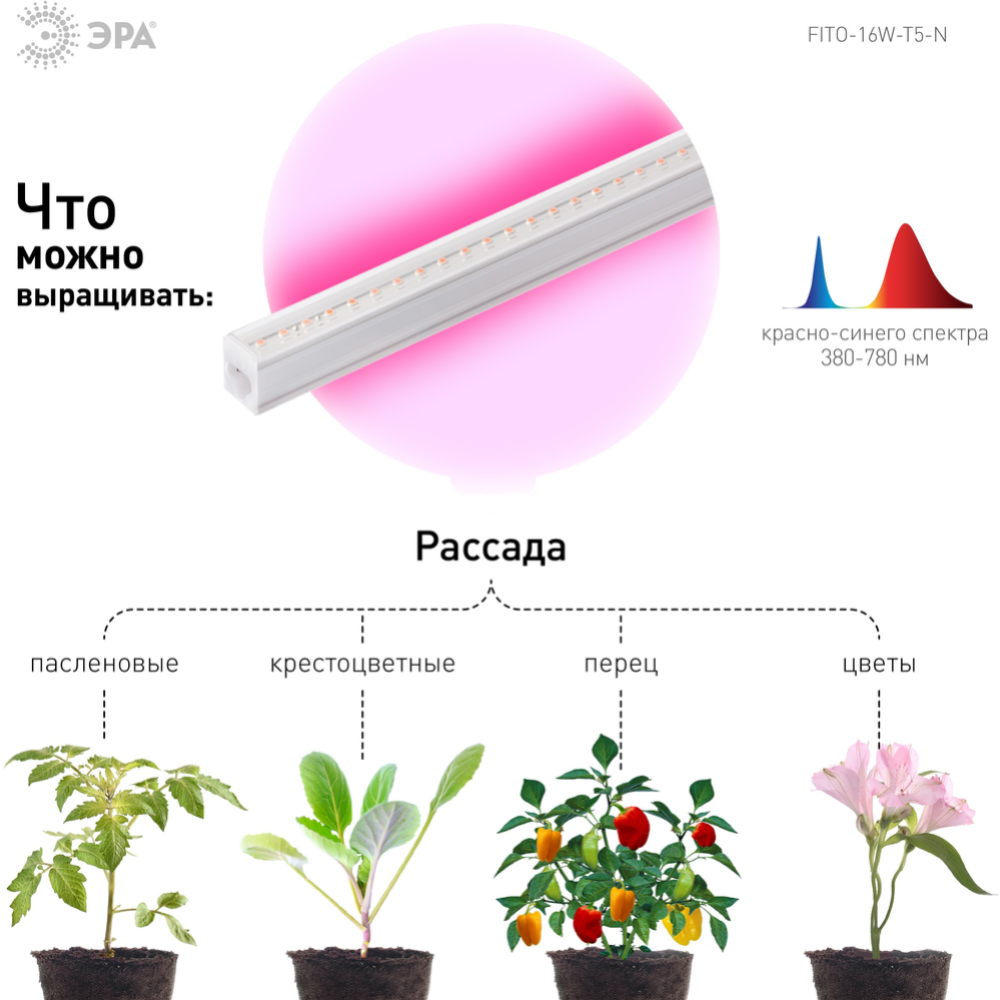 Лампа для растений «ЭРА» FITO-16W-Т5-N, линейный, красно-синего спектра