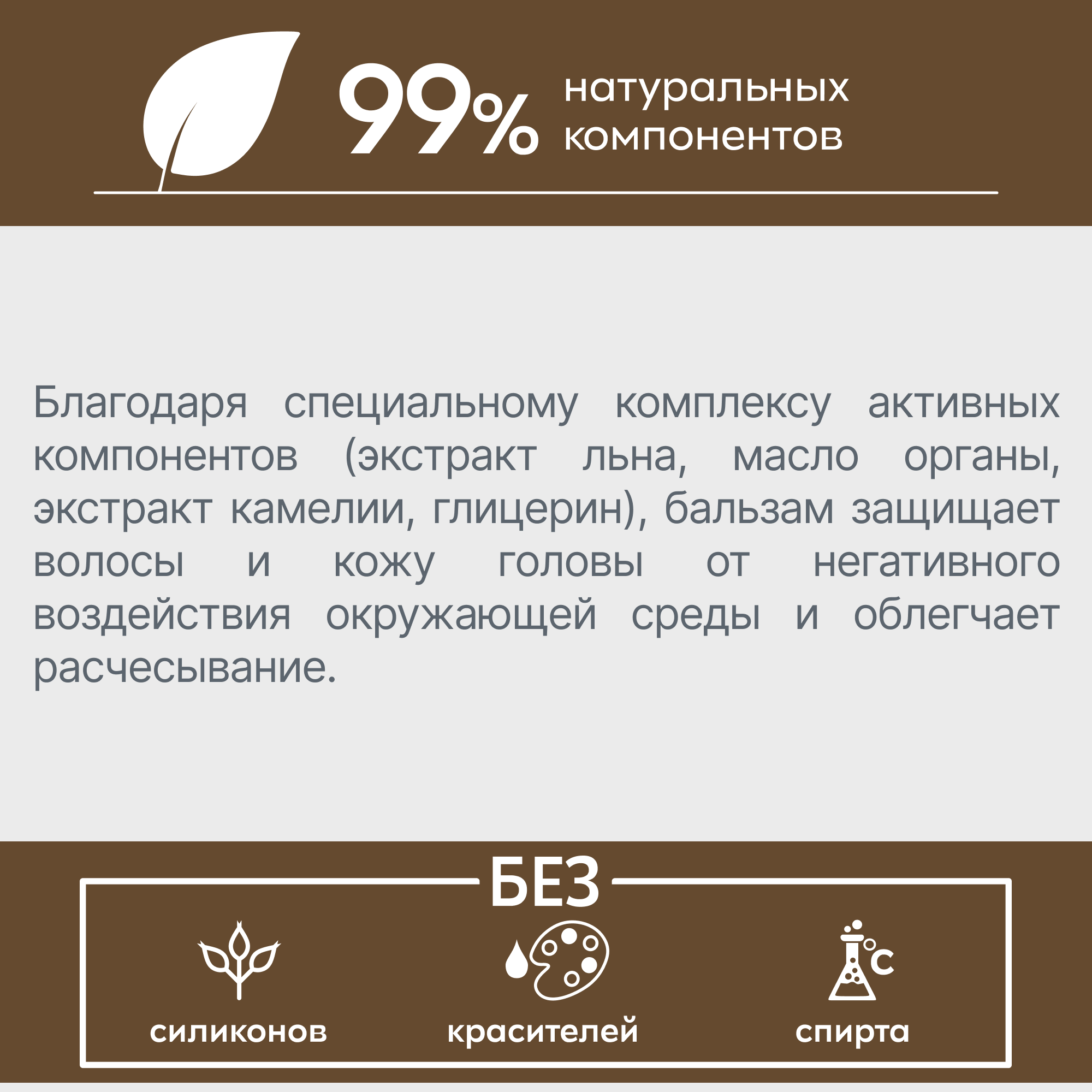 Набор BIOVI Argania: Шампунь защитный для всех типов волос 250 мл+Бальзам защитный для всех типов волос 200 мл