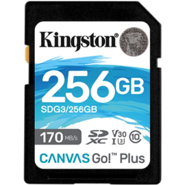 Карта памяти «Kingston» SDG3/256GB