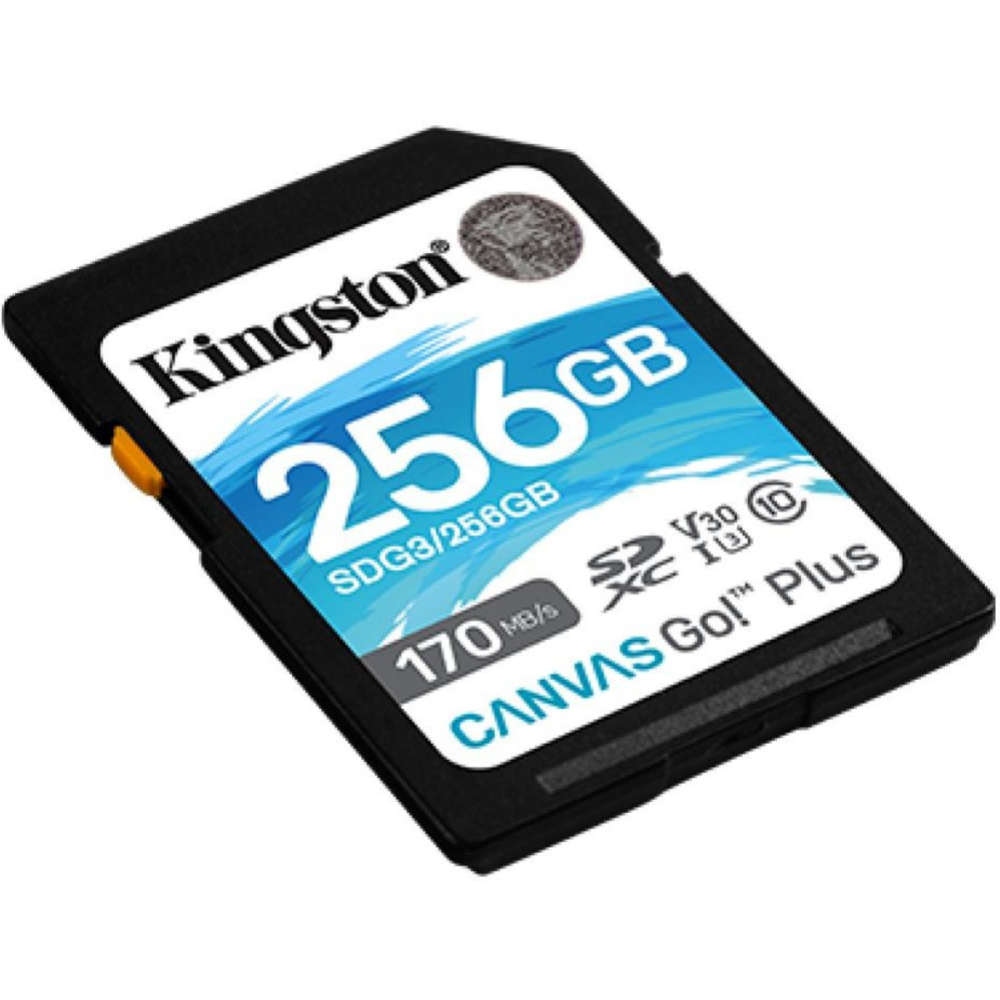 Карта памяти «Kingston» SDG3/256GB