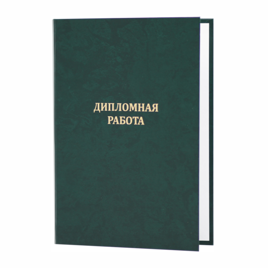 Папка "Дипломная работа", зелёная, до 160 листов