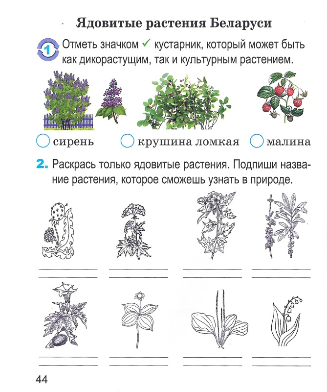 Человек и мир. 2 класс. Рабочая тетрадь. Школьная программа (ШП) (2024) Т. А. Калиниченко, "Сэр-Вит"