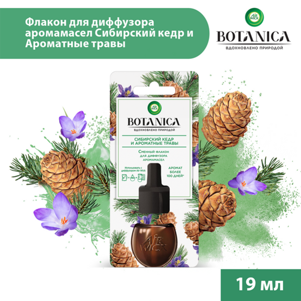 Флакон для аромадиффузора «Air Wick» Botanica Сибирский кедр и ароматные травы, 19 мл