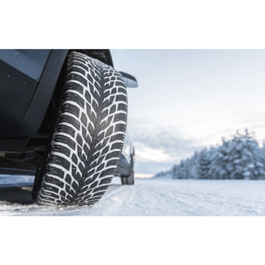 Зимняя шина «Nokian» Tyres Hakkapeliitta R3 SUV, 215/60R17, 100R