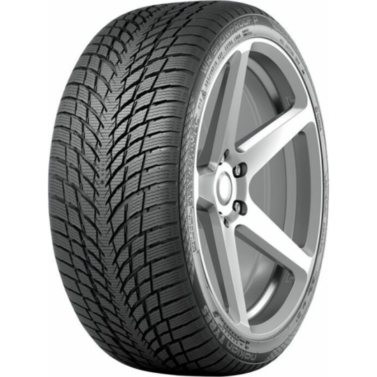 Зимняя шина «Nokian» Tyres WR Snowproof P, 245/45R19, 102V