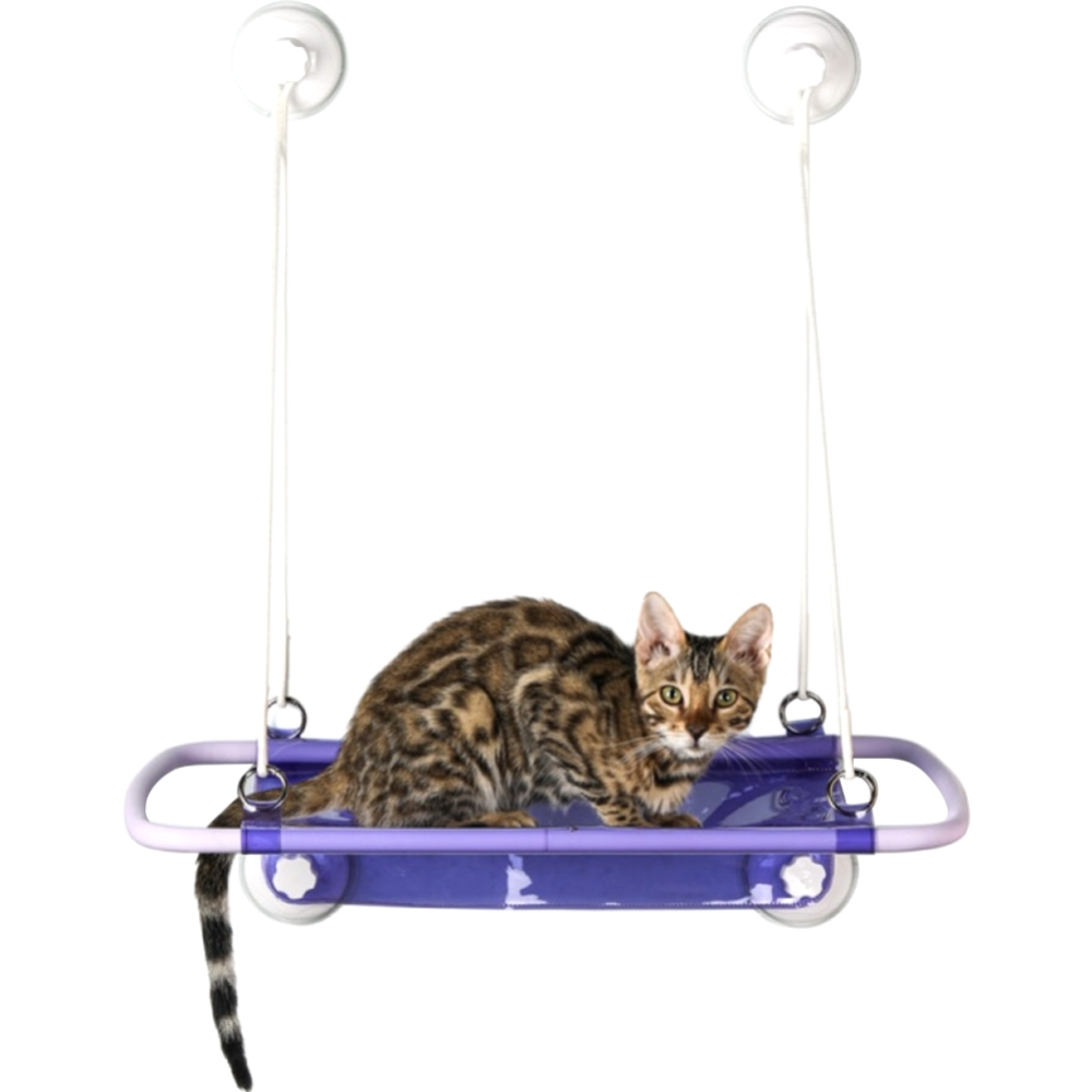 Гамак для животных «Furrytail» Pet Window Perch, DCZ, фиолетовый
