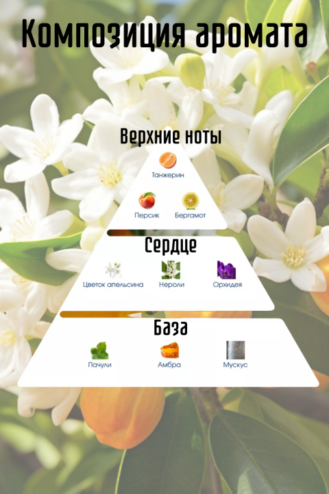 Ароматизатор воздуха для дома, аромадиффузор с палочками, Areon Home Perfume Neroli, 50 мл