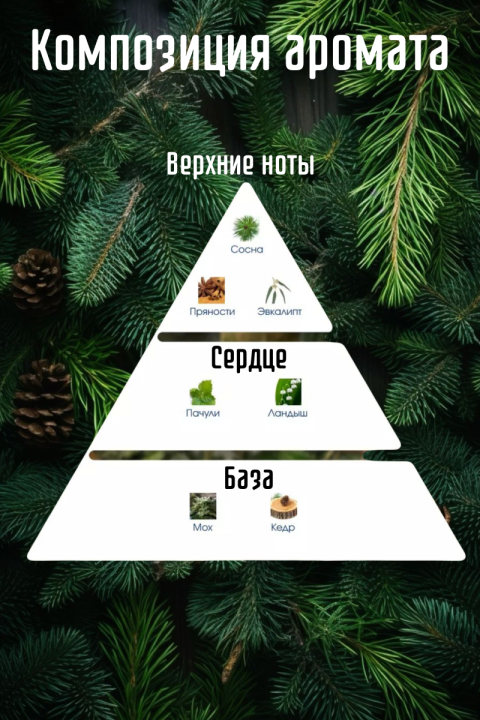 Ароматизатор воздуха для дома, аромадиффузор с палочками, Areon Home Perfume Pine, 50 мл